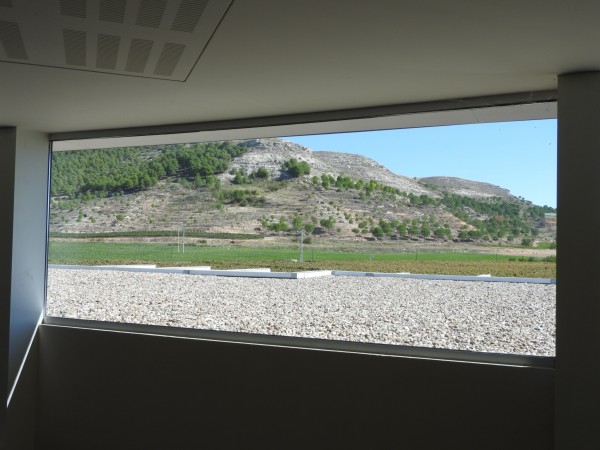 DSCN1950